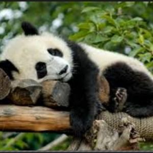 Meet your Posher, Maddy